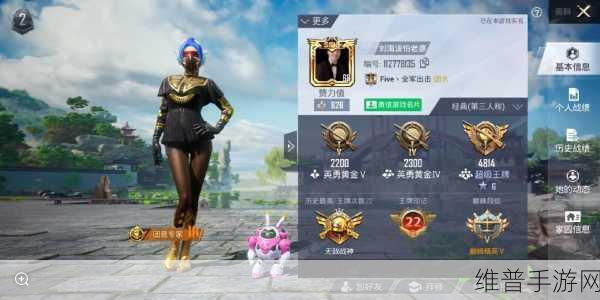 和平精英小五哥大型纪录片观看指南