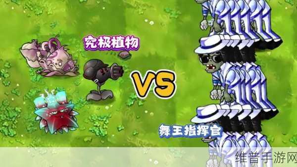 植物大战僵尸手游攻略,如何高效实现阳光自动收集