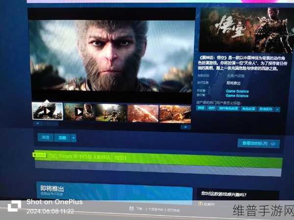 黑神话,悟空数字豪华版与标准版深度对比攻略