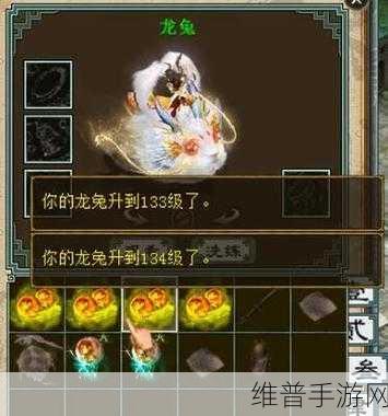 大话西游等级飙升秘籍大公开