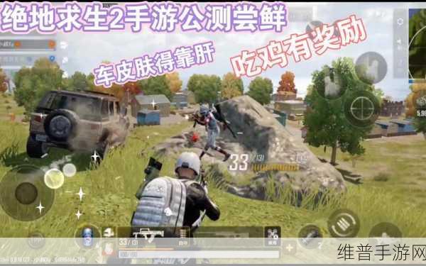 绝地求生2手游画质优化全攻略,打造极致视觉盛宴
