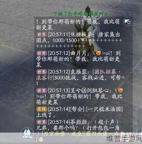 剑网 3 无界自动寻路巧妙设置指南