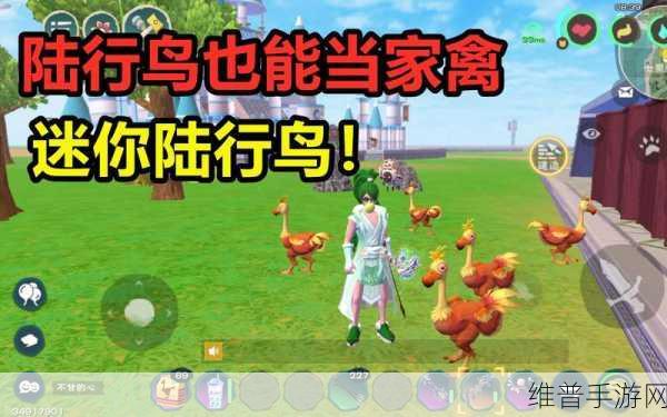 创造与魔法新版，陆行鸟神秘新栖息地大揭秘