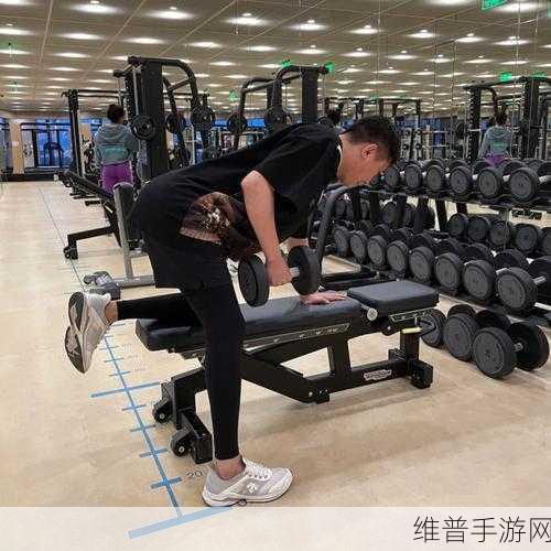 肥鹅健身房,揭秘普通工具桶的高效获得方法