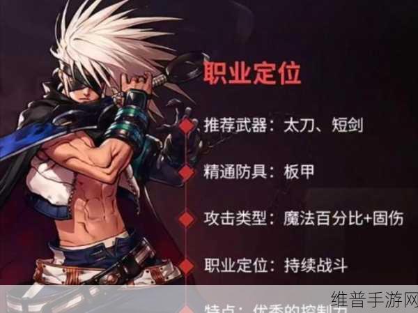 DNF手游瞎子职业全攻略,解锁阿修罗的无限可能