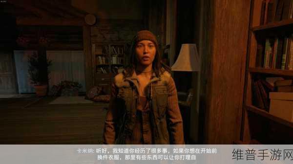 孤岛惊魂新曙光,版本差异与选择指南