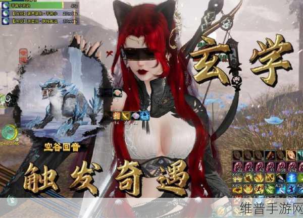 剑网 3空谷回音奇遇全攻略指南
