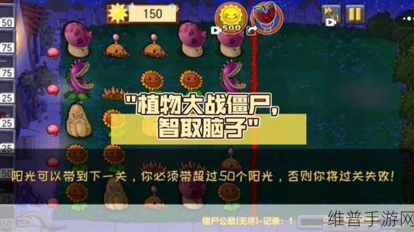 植物大战僵尸新手秘籍，轻松上手智取僵尸策略全解析