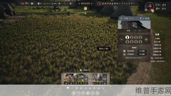 庄园领主手游燃料获取秘籍大公开