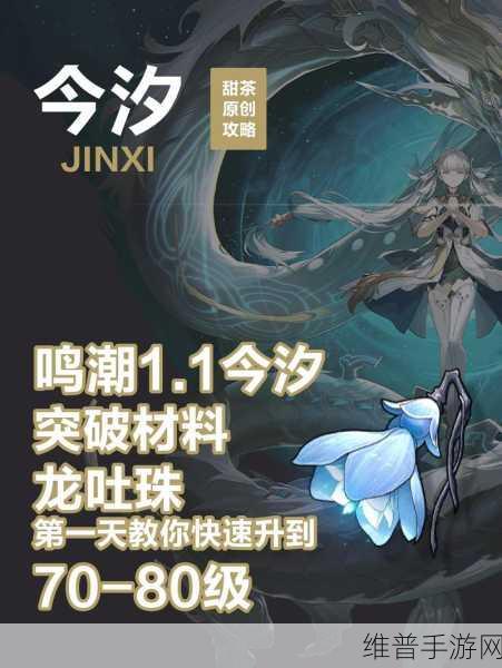 鸣潮手游攻略，揭秘高级能量袋的获取与配方