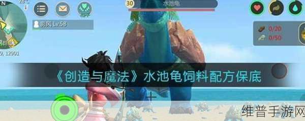创造与魔法，乌龟培养大揭秘