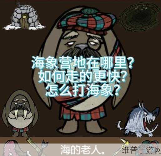 饥荒小海象的多重价值及代码管理资源优化策略