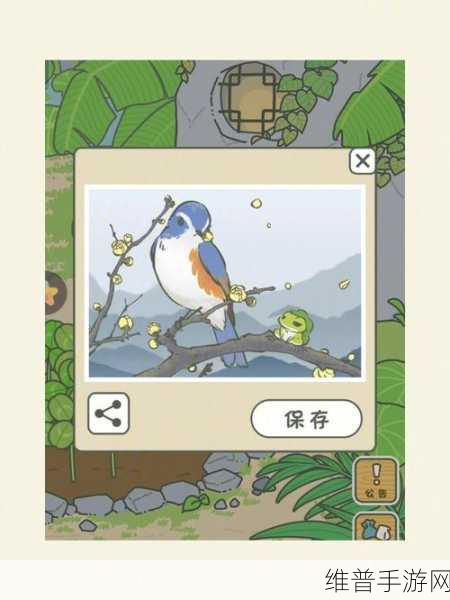 旅行青蛙新手全攻略，青蛙旅行系统深度玩法解析