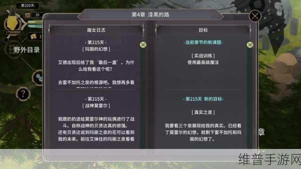 魔女之泉3任务攻略，揭秘真实之泉的通关秘籍