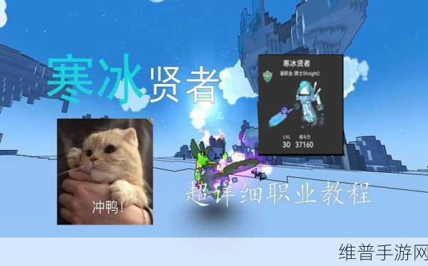 宝藏世界手游攻略，寒冰贤者宝石选择全解析