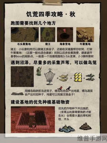 饥荒手游攻略，孵化高脚鸟的多重价值探索