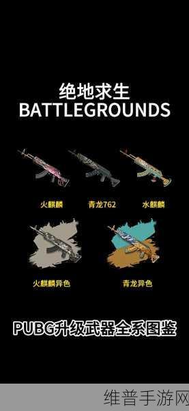 绝地求生全军出击，武器排名与最强武器推荐