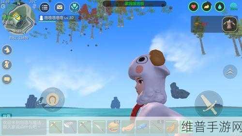 创造与魔法手游攻略,揭秘海参的采集位置与技巧