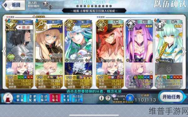 FGO深度攻略,CBA角色定义与全方位解析