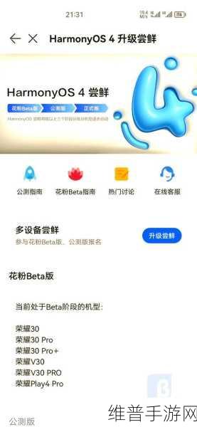 鸿蒙系统畅玩王者荣耀,全面解析与攻略