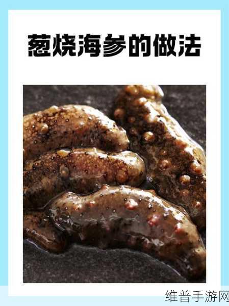 食物语葱烧海参深度解析，品质与实战价值探讨