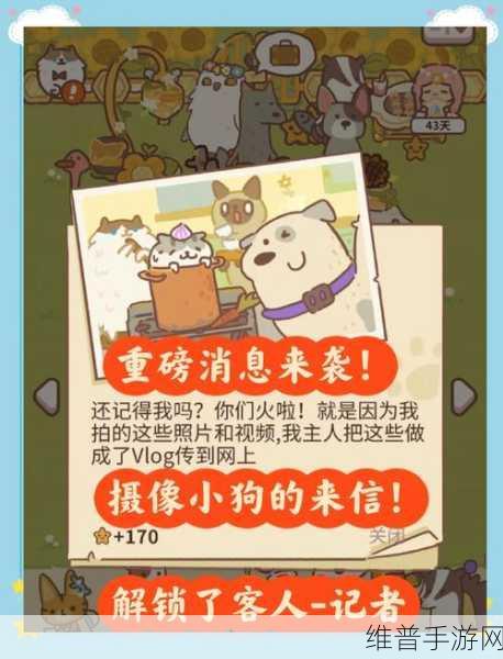动物餐厅摄像小狗不来的原因及解锁秘籍