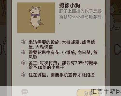 动物餐厅摄像小狗不来的原因及解锁秘籍
