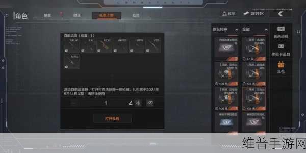 暗区突围高级自选武器包优选攻略与资源管理策略深度解析