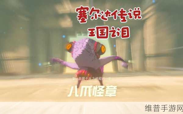 塞尔达传说，智慧的再现庆典八爪怪获取全攻略