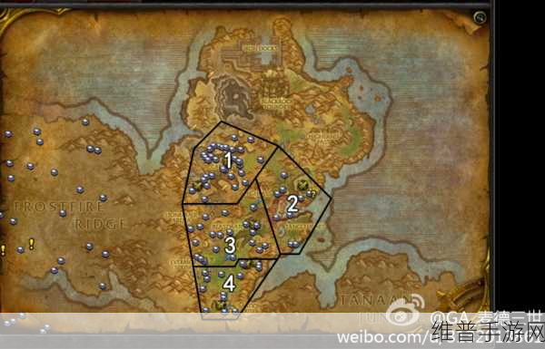 魔兽世界稀有宝藏探寻攻略，解锁珍稀物品的全面指南