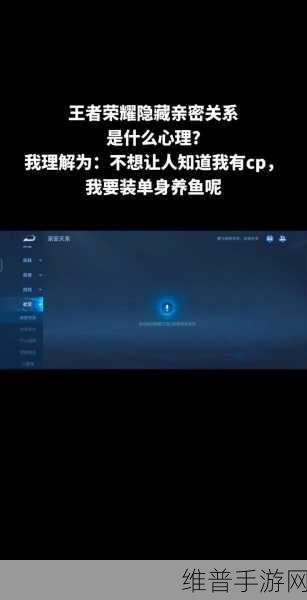 王者荣耀深度攻略，如何巧妙隐藏亲密度关系
