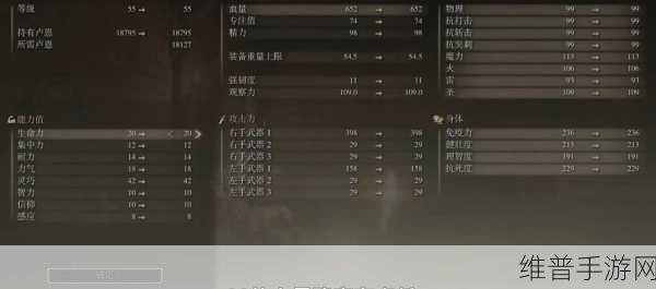 艾尔登法环纯力量流加点深度攻略，打造无敌战士的秘诀