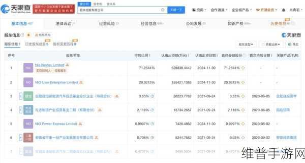 蔚来中国再获增资，手游公司视角下的新一轮战略投资看点解析
