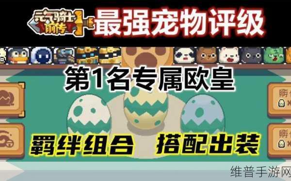 元气骑士，解锁最强宠物攻略指南