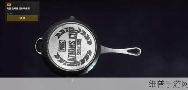 绝地求生全军出击，平底锅的多样用法与挡子弹技巧深度解析