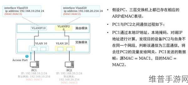 VLAN技术深度解析,手游公司如何利用VLAN优化无线网络性能