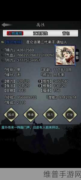 放置江湖深度攻略，氪金武学哪些值得学