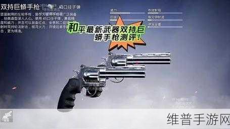 全面吃鸡模拟器双持武器秘籍大公开