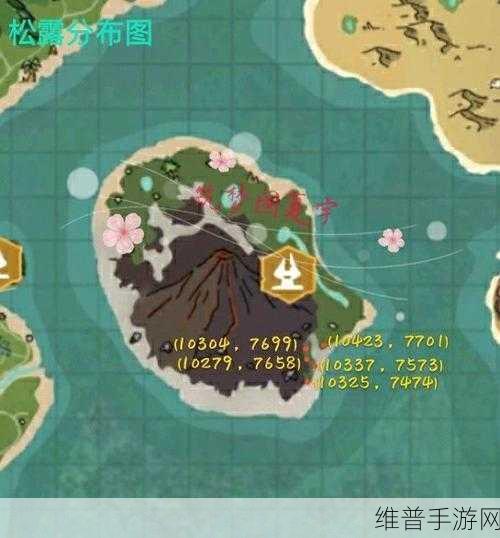 创造与魔法手游深度攻略，松露的奇妙用途与获取策略