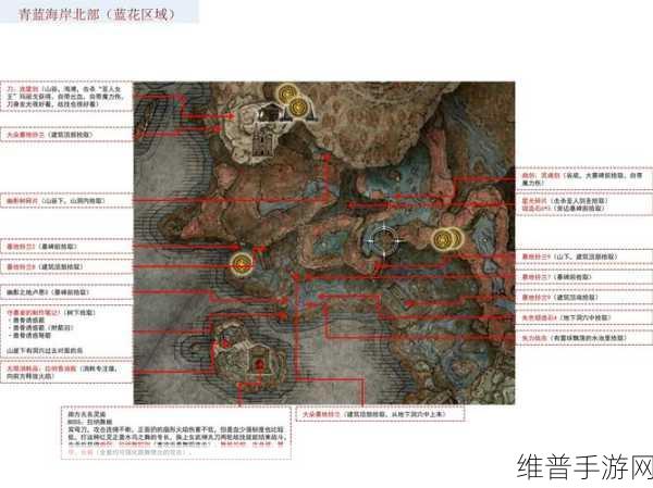 艾尔登法环深度攻略，艾尼尔伊利姆幽影树碎片收集全解析