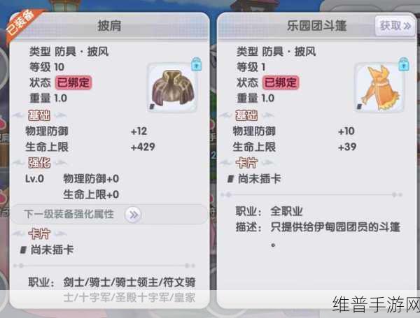 仙境传说RO手游初心者必看！直升机哥布林道场全攻略，揭秘隐藏惊喜奖励通关秘籍