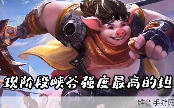 王者荣耀猪八戒深度攻略，解锁坦克英雄的极致威力