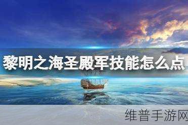 黎明之海圣殿技能提升全攻略，解锁圣殿军最强战斗潜能的技能升级指南