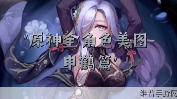 原神鹮穿之喙适合什么角色？详细角色推荐