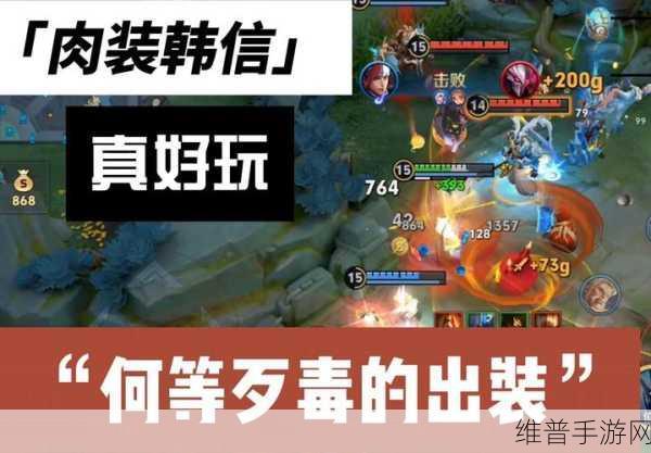 王者荣耀韩信新手攻略，掌握灵动刺客的精髓