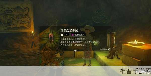 塞尔达传说王国之泪依盖队套装全攻略，解锁神秘装备的力量