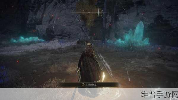 艾尔登法环双持按键Xbox操作全攻略，提升战斗效率的秘籍