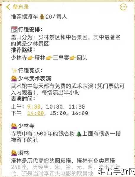 烟雨江湖道远禅师寻觅之旅，少林道远禅师位置坐标全解析