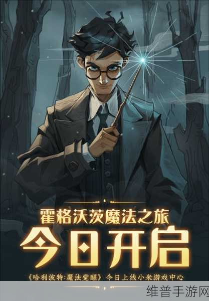 哈利波特，魔法觉醒——探索魔法世界的无限可能