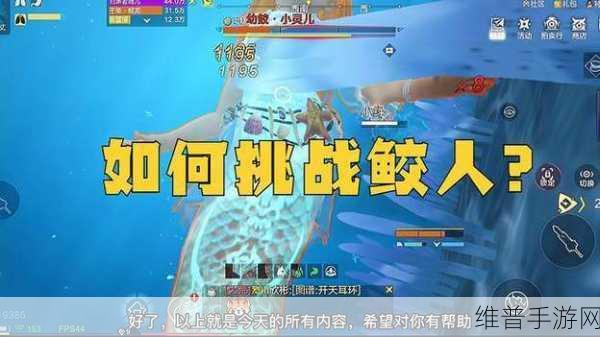 妄想山海宠物侍从技能学习全攻略与最强技能推荐